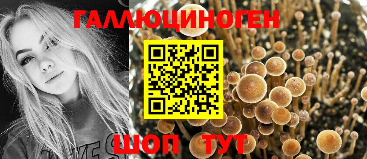 Галлюциногенные грибы Magic Shrooms  Вход с VPN  Псилоцибиновые грибы Magic Shrooms  Красногорск 