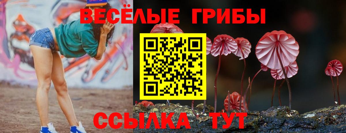 Галлюциногенные грибы Magic Shrooms Красногорск
